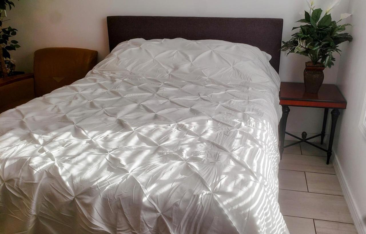 Stylish Suite Tampa Minutes To Hard Rock Casino Mango Экстерьер фото