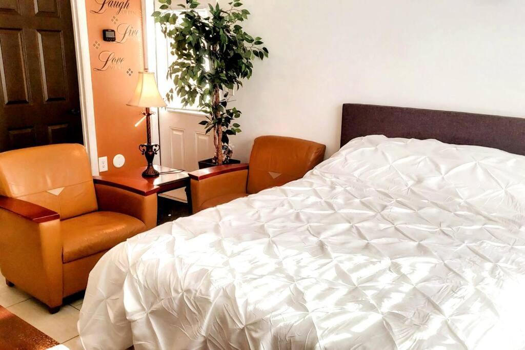 Stylish Suite Tampa Minutes To Hard Rock Casino Mango Экстерьер фото